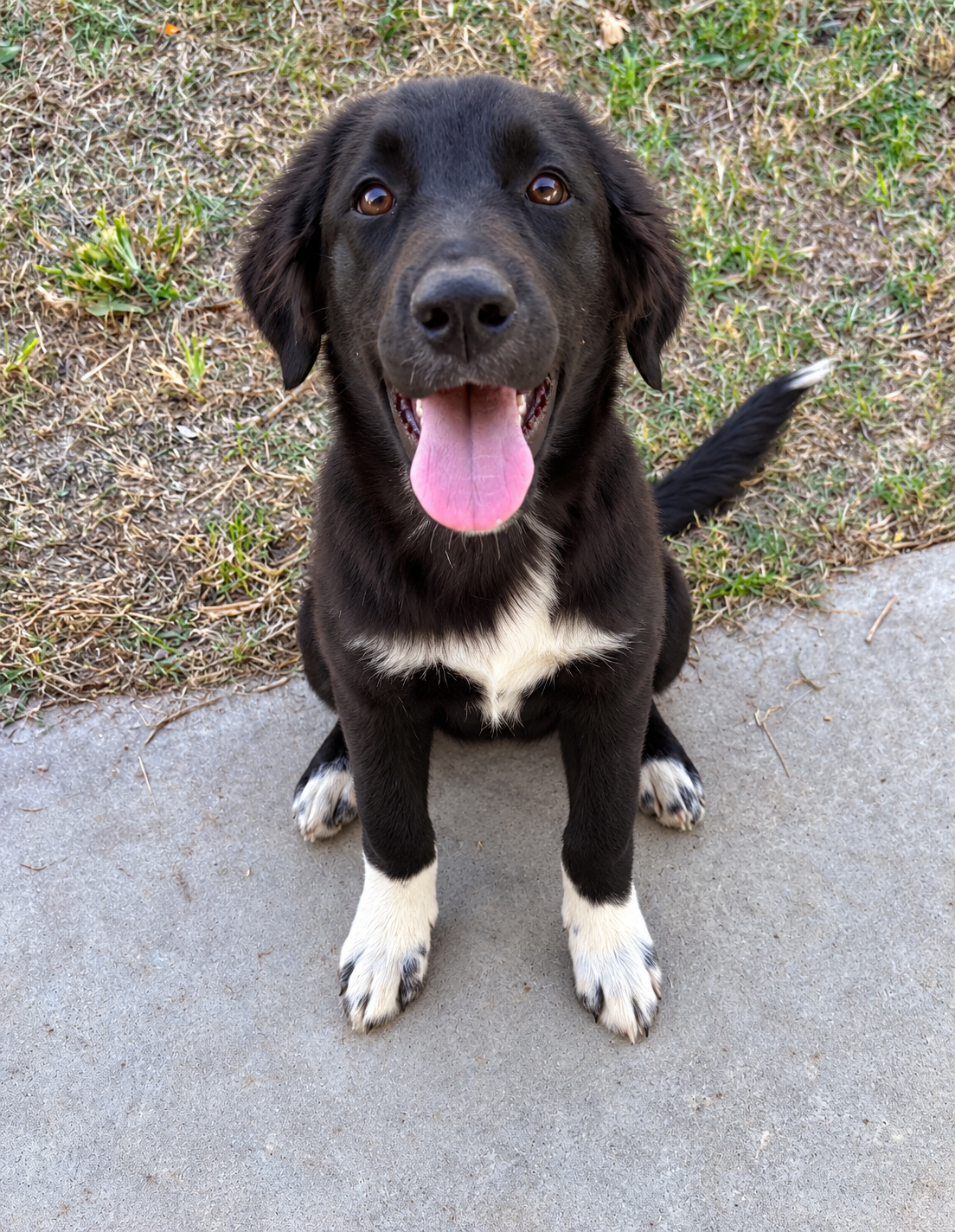 Diesel, photo 3
