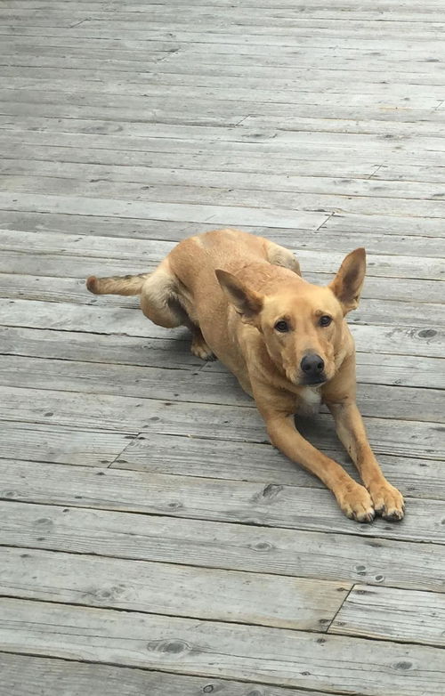 Kona