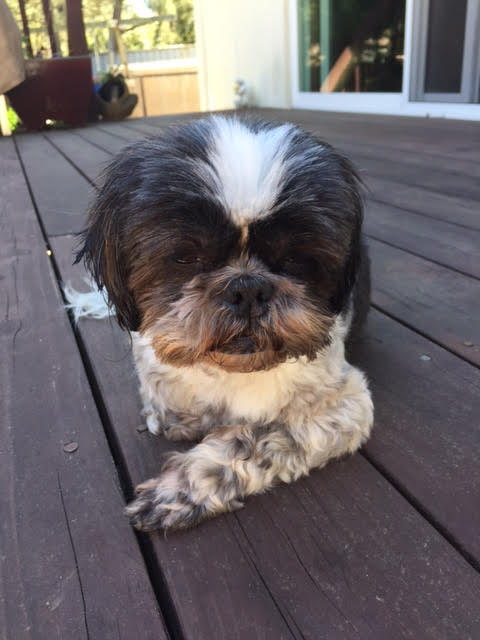 Lucy