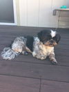 Lucy