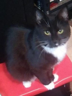 Sophie