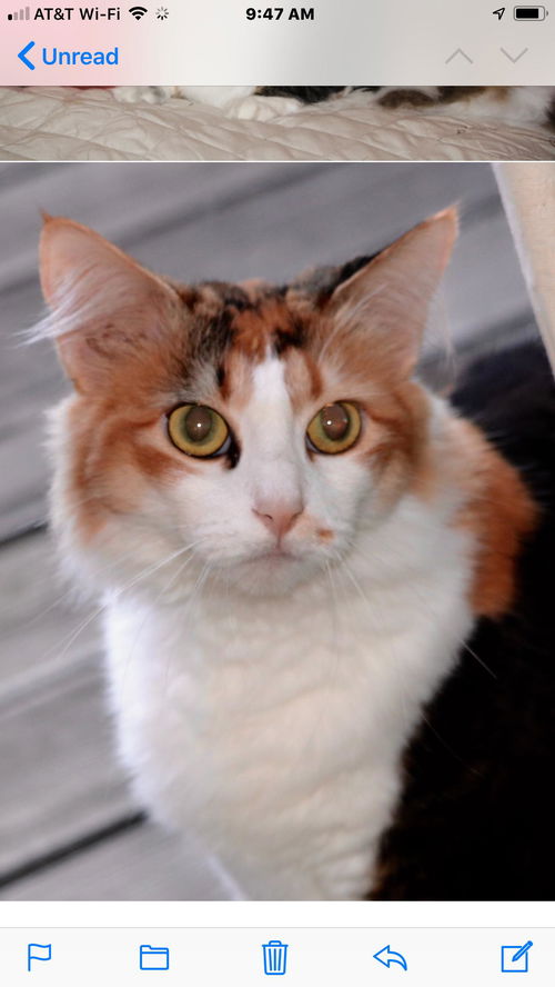 Mimi