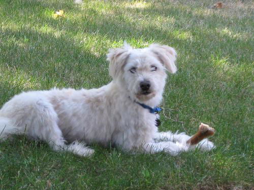 Murphy