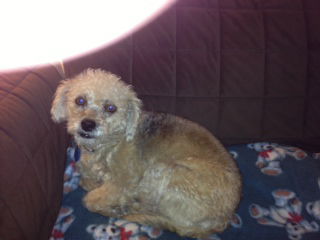 Molly