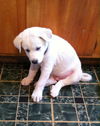 Tucker