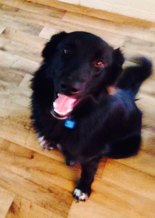 Sookie