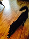 Sookie