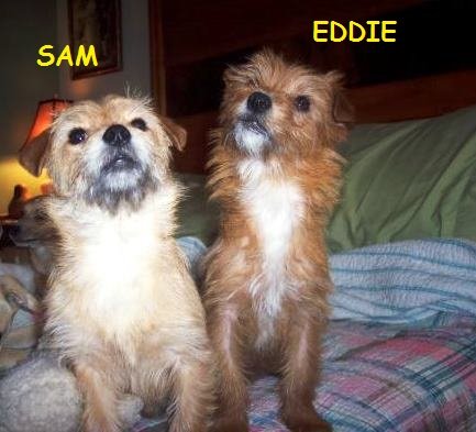 Eddie and Sam