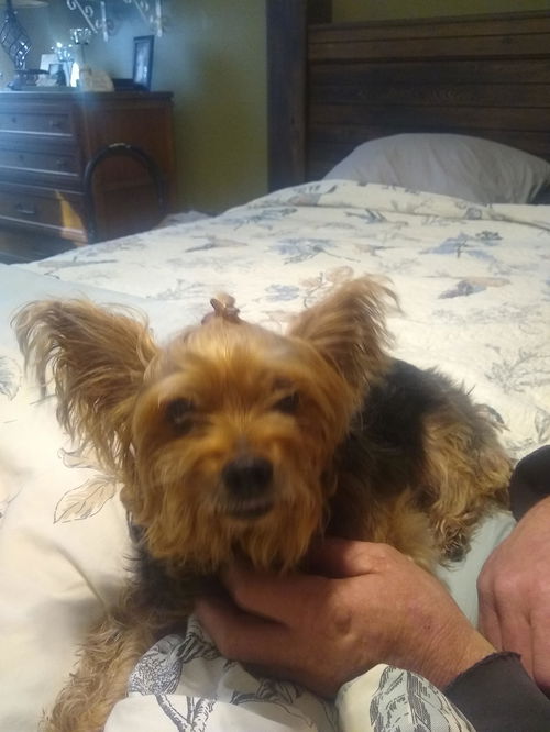 Gracie Mae