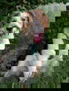 Heartly