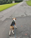 Astro