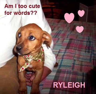 Ryleigh