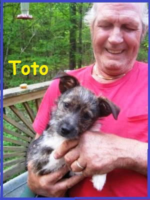 Toto