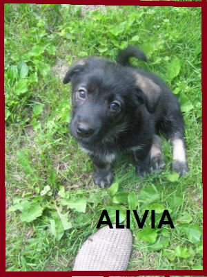 Alivia