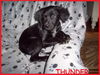 Thunder