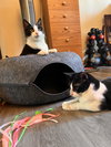 POM POM - Bonded with Luke - Photo 4