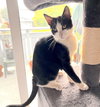 POM POM - Bonded with Luke - Photo 9