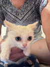 FREYA - Bonded with Loki - Photo 9