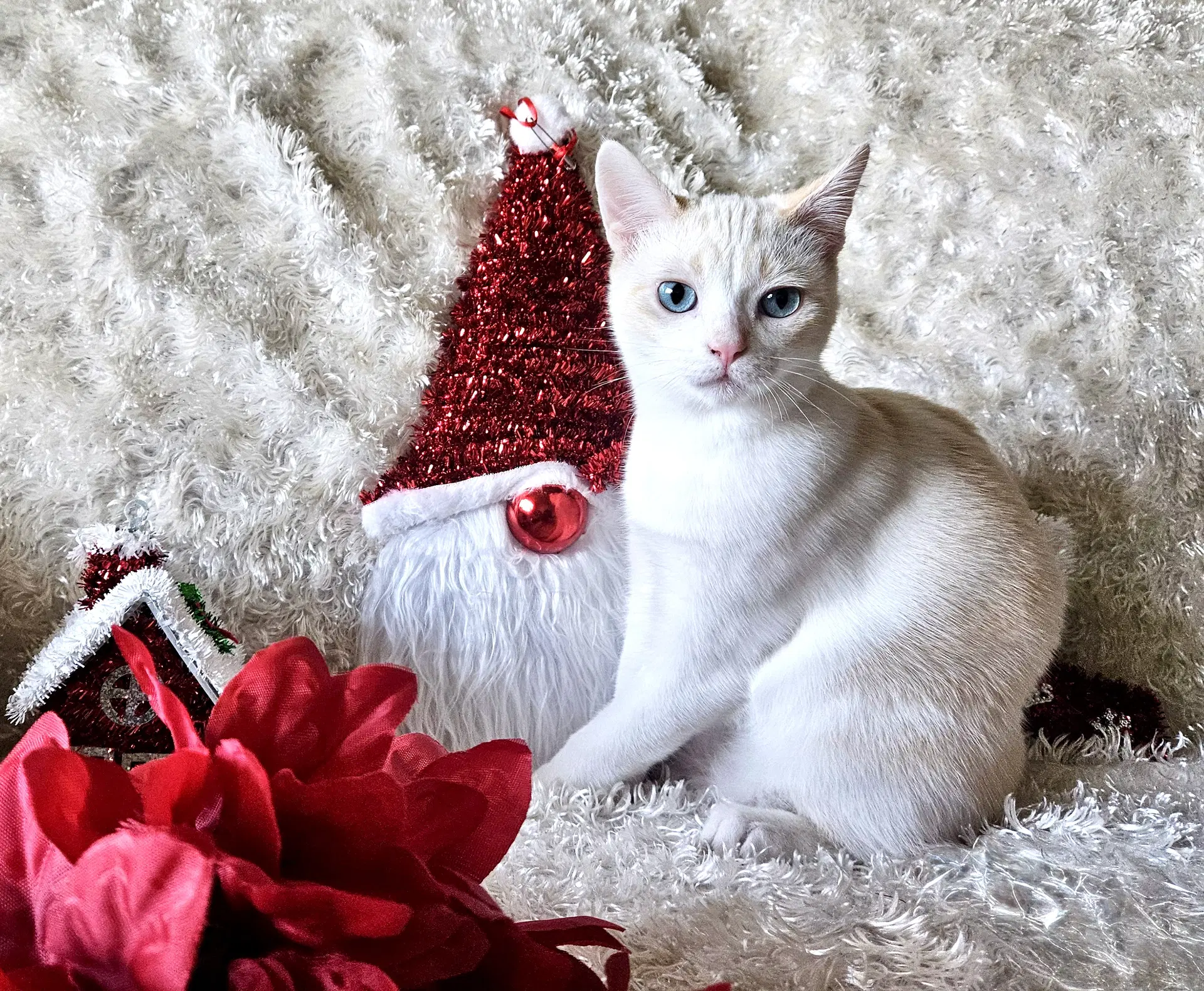 Freya - Bonded With Loki image 3