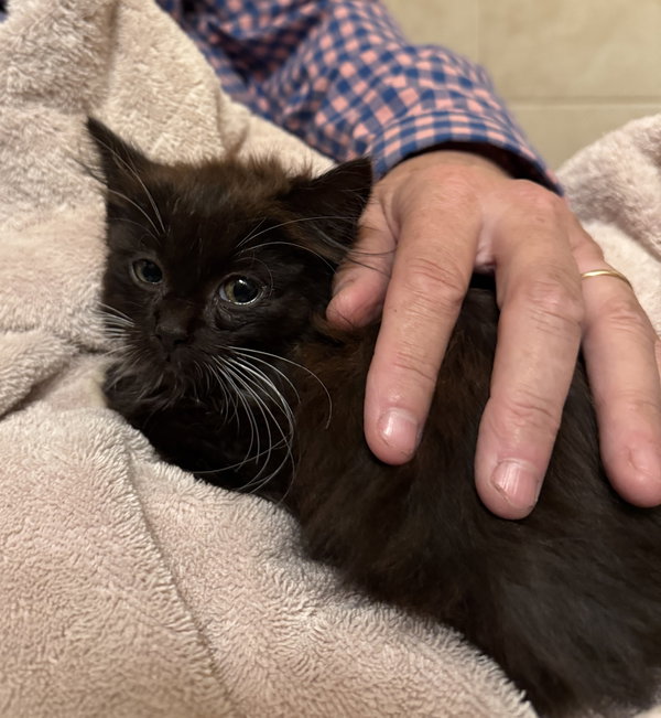 ALBIE - Bonded with Spencer
