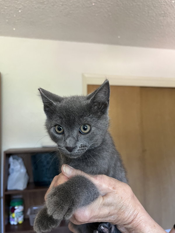 GILIGAN - Bonded with Mikey