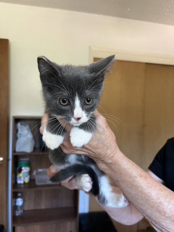 MIKEY - Bonded with Gilligan