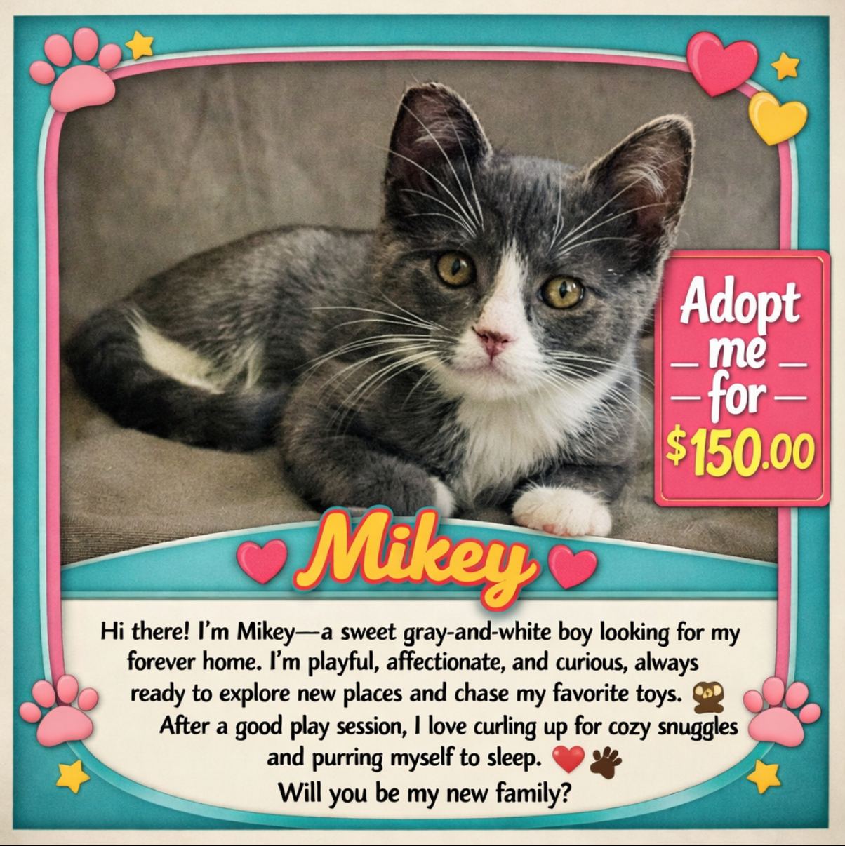 MIKEY - Bonded with Gilligan, photo 5
