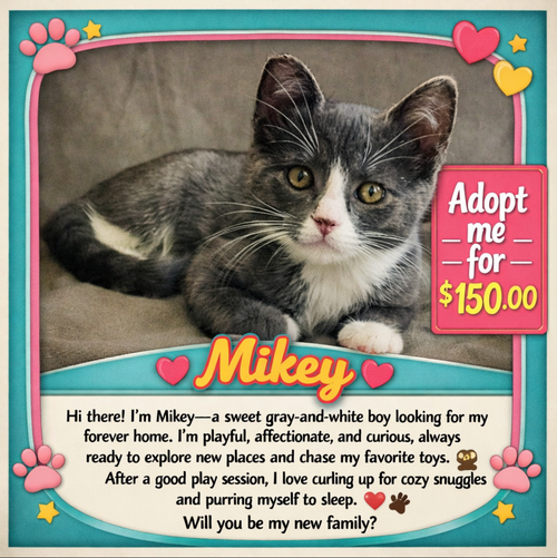 Photo 5 of MIKEY - Bonded with Gilligan