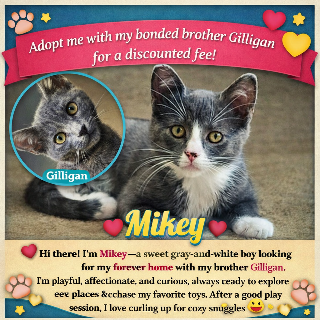 MIKEY - Bonded with Gilligan, photo 4