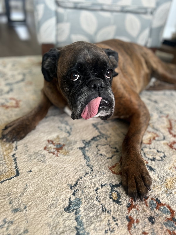 Lou