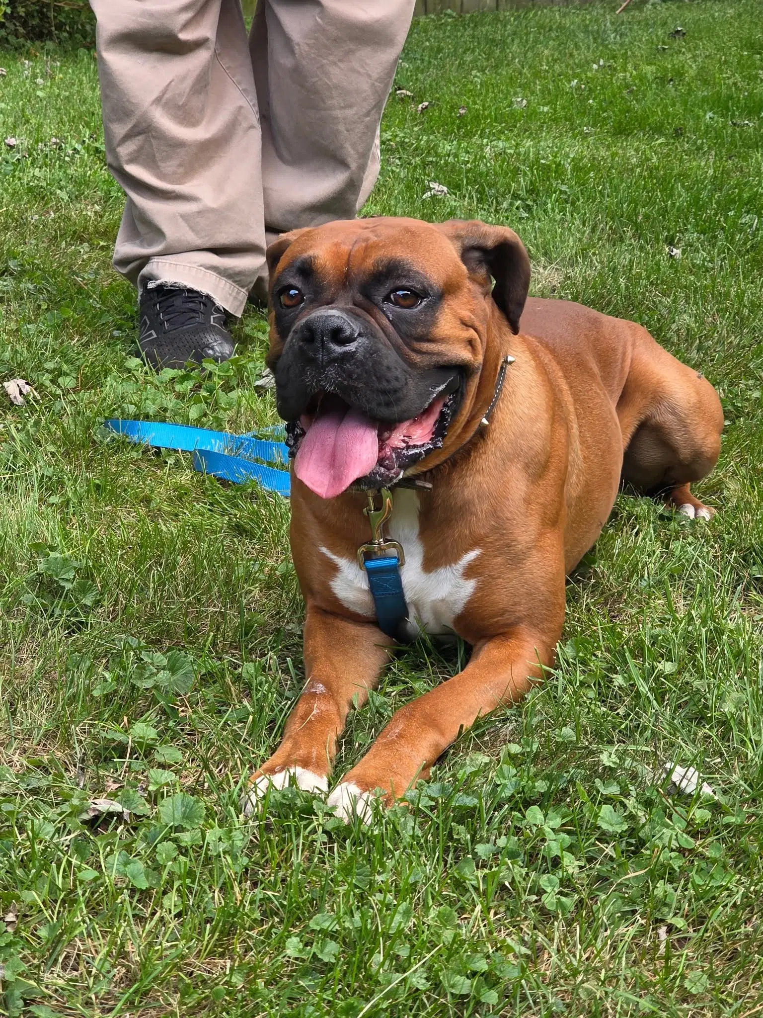 Butchie Foster Needed - Boxer