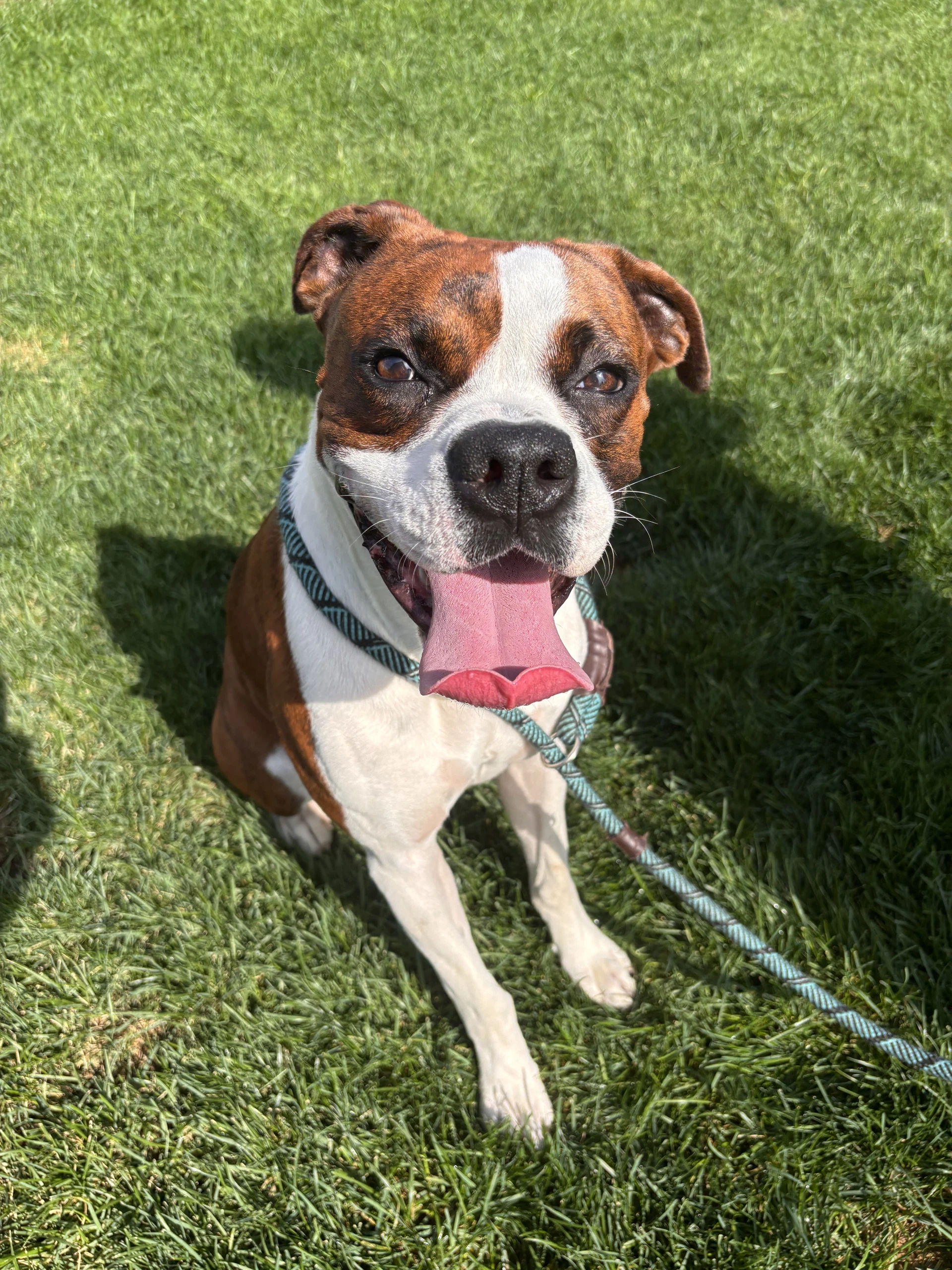 Rory Needs Foster