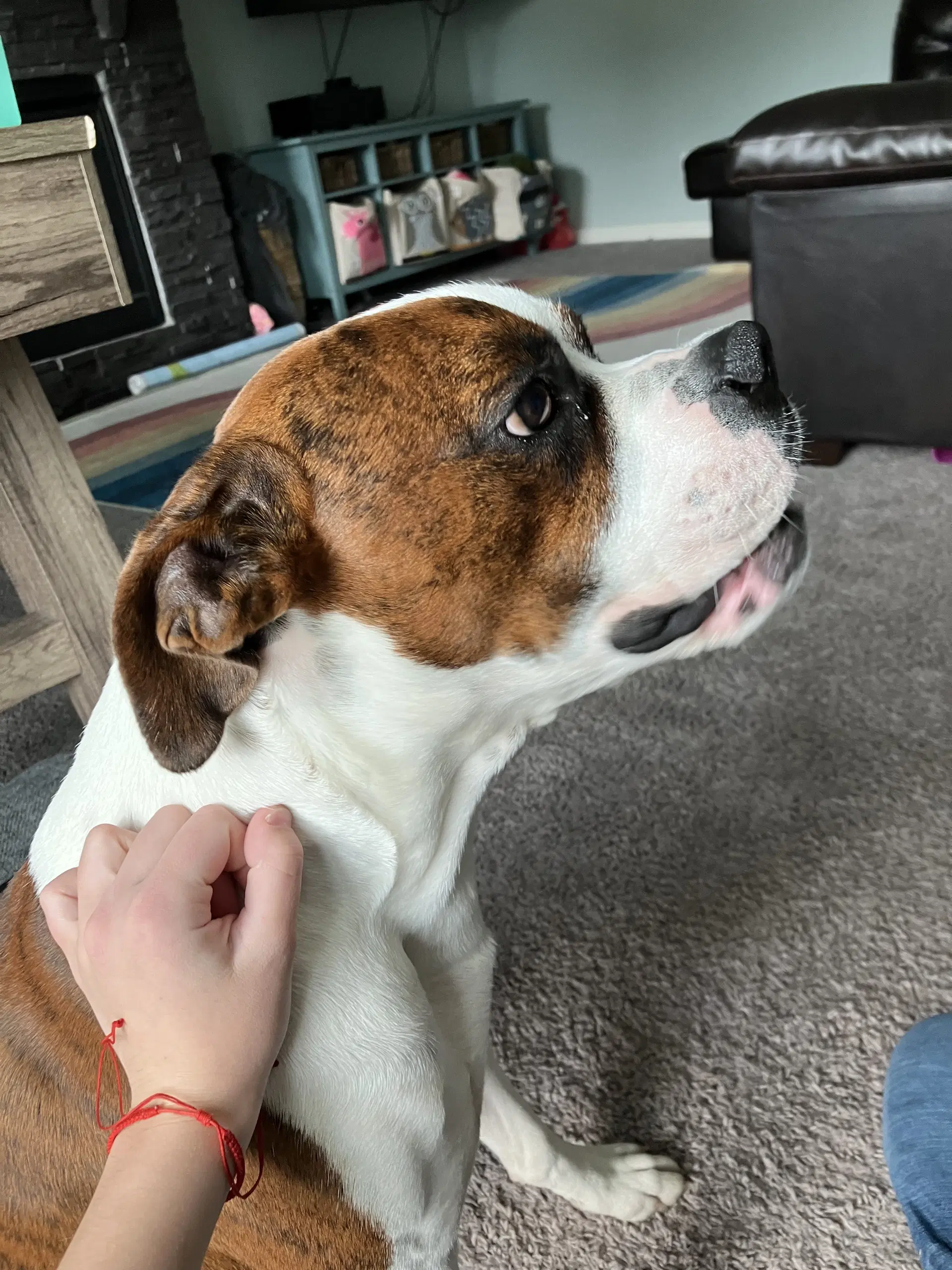Rory Needs Foster image 3