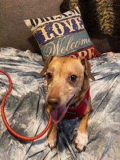Louie photo 3