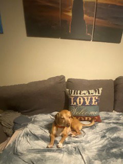 Louie