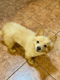 Photo 2 of Tucker ADOPTED