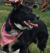 Rylee