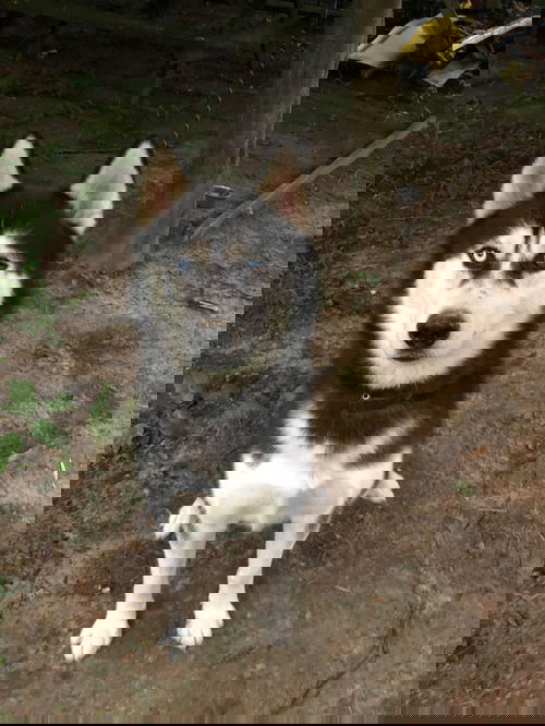 River Kai