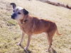 Margo