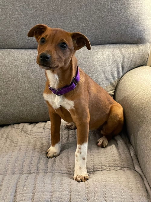 Mazie Ann