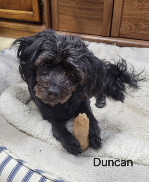 Duncan Ray