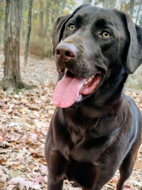 Oakley Marie
