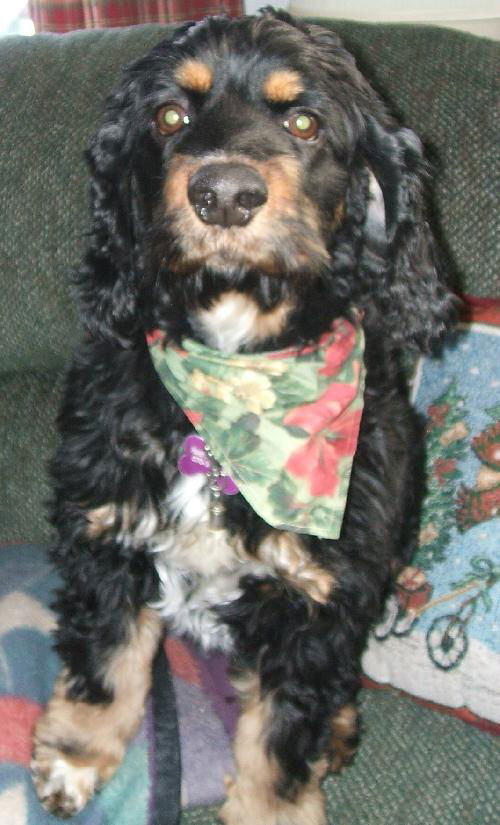 Bruno
