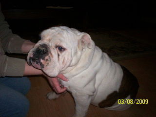 Buford