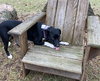 Luna Ann