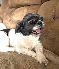Daisy Belle