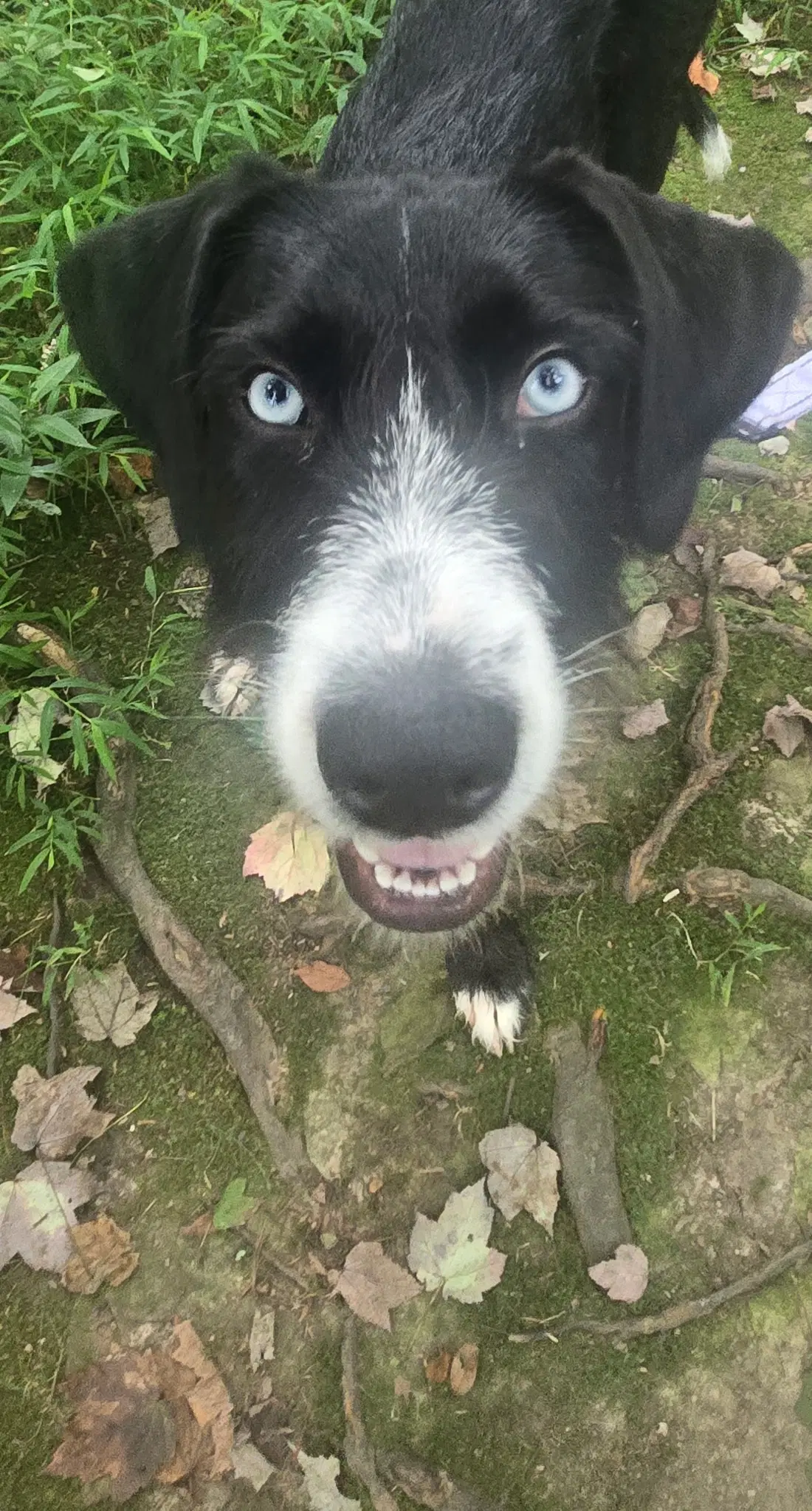 Lucy May image 1