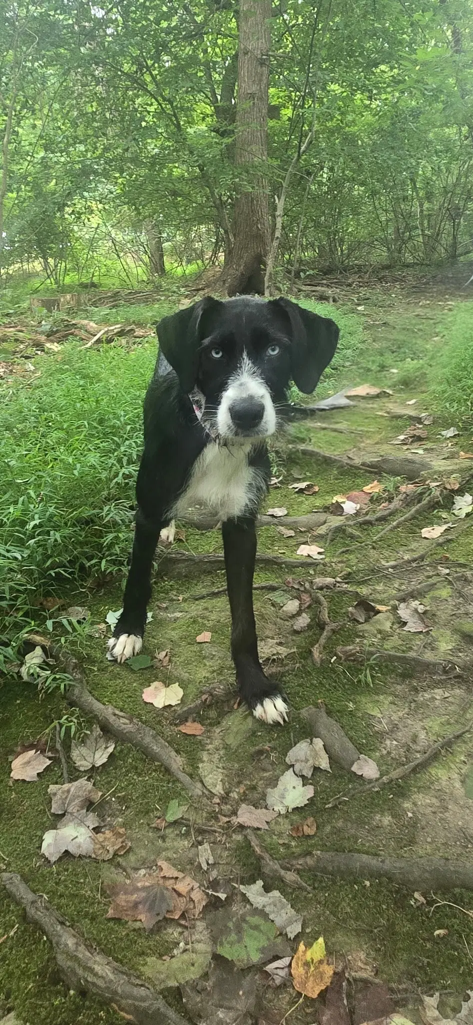 Lucy May image 2