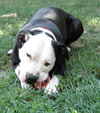 Ruby