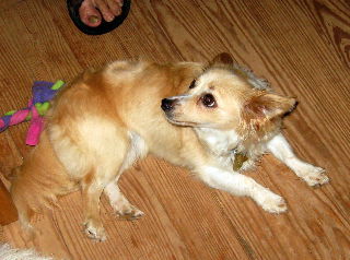 Rudy
